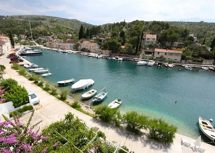 Seaside Anticevic