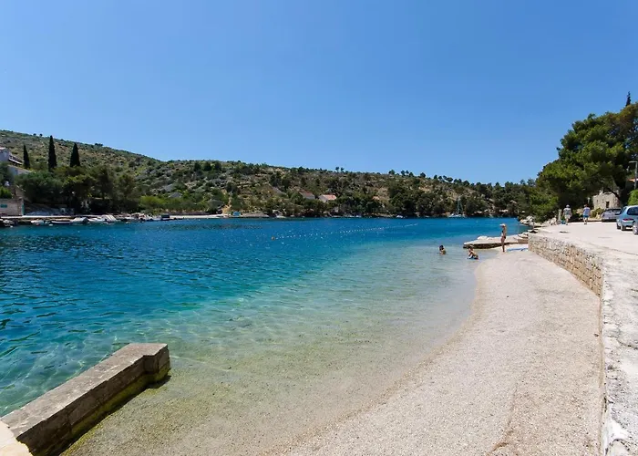 Seaside Anticevic