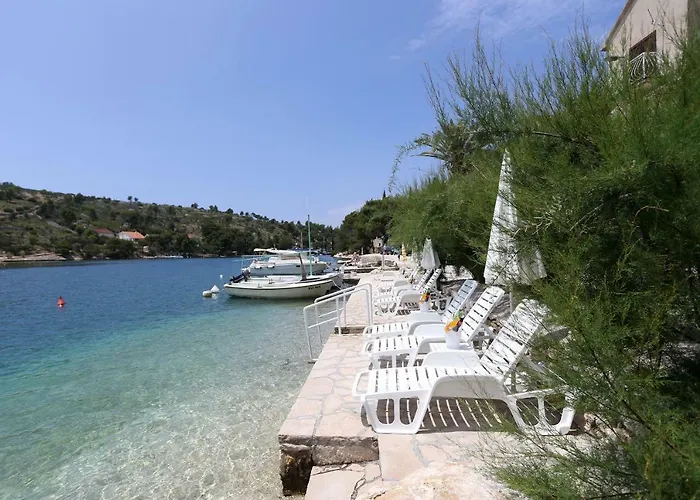 Seaside Anticevic